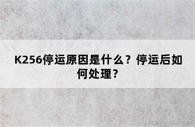 K256停运原因是什么？停运后如何处理？