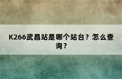 K266武昌站是哪个站台？怎么查询？