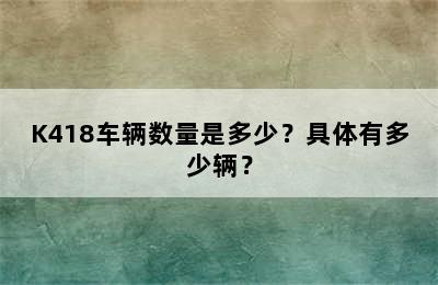 K418车辆数量是多少？具体有多少辆？