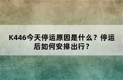 K446今天停运原因是什么？停运后如何安排出行？