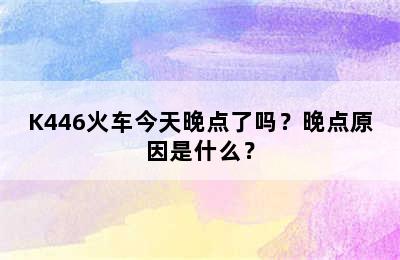K446火车今天晚点了吗？晚点原因是什么？
