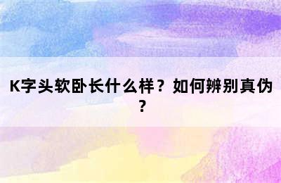 K字头软卧长什么样？如何辨别真伪？