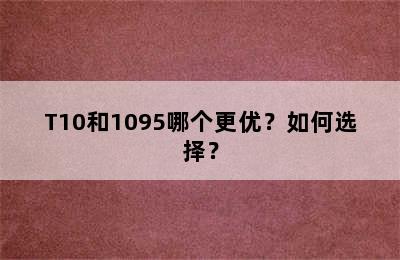 T10和1095哪个更优？如何选择？