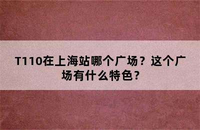 T110在上海站哪个广场？这个广场有什么特色？