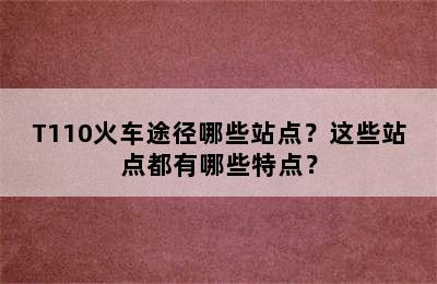 T110火车途径哪些站点？这些站点都有哪些特点？