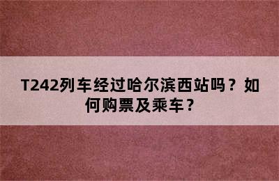 T242列车经过哈尔滨西站吗？如何购票及乘车？