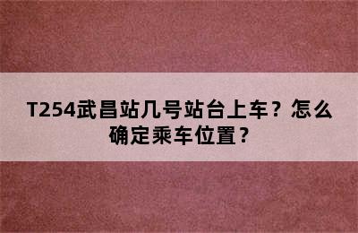 T254武昌站几号站台上车？怎么确定乘车位置？