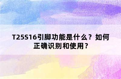 T25S16引脚功能是什么？如何正确识别和使用？