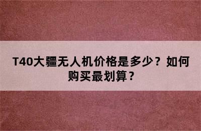 T40大疆无人机价格是多少？如何购买最划算？