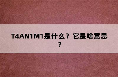 T4AN1M1是什么？它是啥意思？