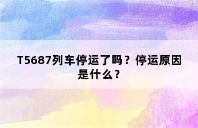 T5687列车停运了吗？停运原因是什么？