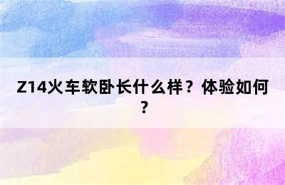 Z14火车软卧长什么样？体验如何？