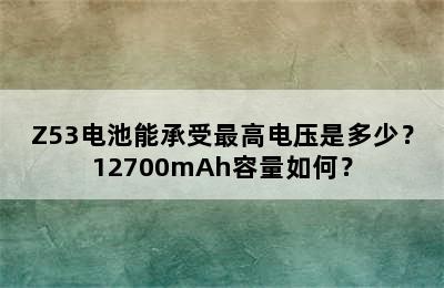 Z53电池能承受最高电压是多少？12700mAh容量如何？