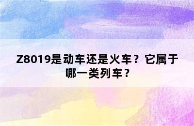 Z8019是动车还是火车？它属于哪一类列车？