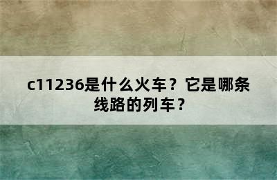 c11236是什么火车？它是哪条线路的列车？