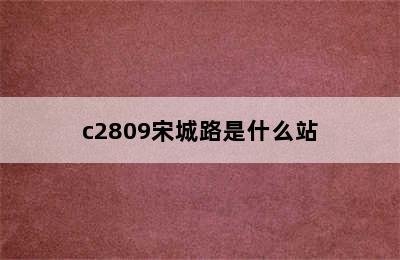 c2809宋城路是什么站