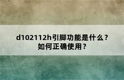 d102112h引脚功能是什么？如何正确使用？