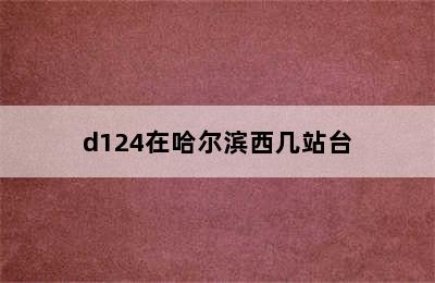 d124在哈尔滨西几站台