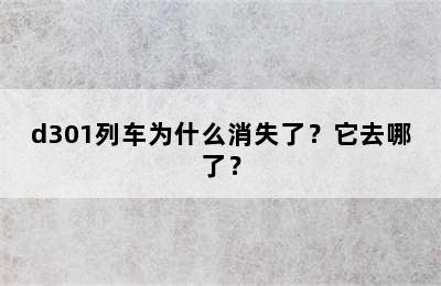 d301列车为什么消失了？它去哪了？