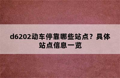 d6202动车停靠哪些站点？具体站点信息一览