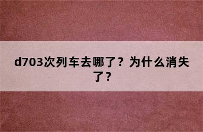 d703次列车去哪了？为什么消失了？