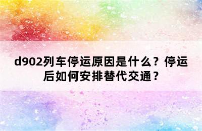 d902列车停运原因是什么？停运后如何安排替代交通？