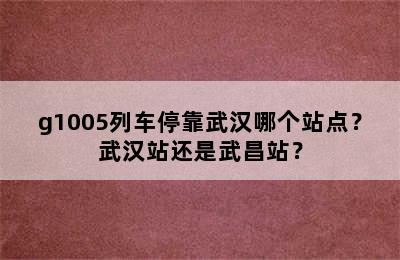 g1005列车停靠武汉哪个站点？武汉站还是武昌站？