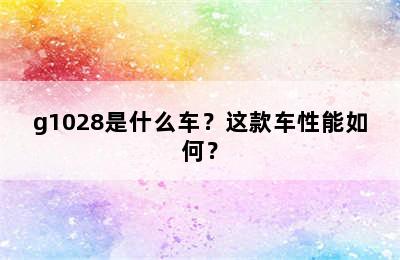 g1028是什么车？这款车性能如何？