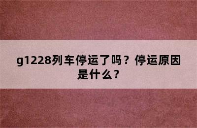 g1228列车停运了吗？停运原因是什么？