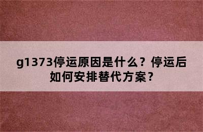 g1373停运原因是什么？停运后如何安排替代方案？