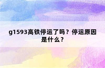 g1593高铁停运了吗？停运原因是什么？