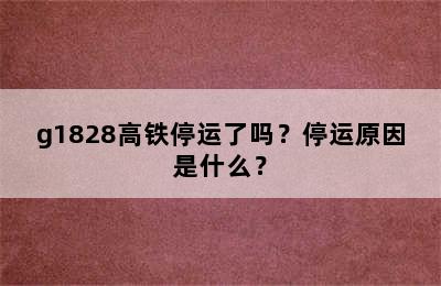 g1828高铁停运了吗？停运原因是什么？