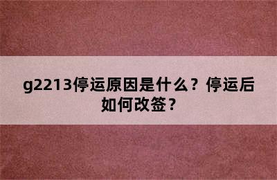 g2213停运原因是什么？停运后如何改签？