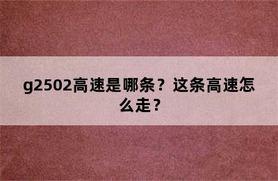 g2502高速是哪条？这条高速怎么走？