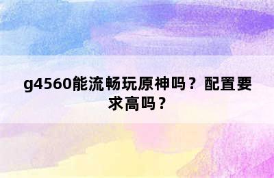 g4560能流畅玩原神吗？配置要求高吗？