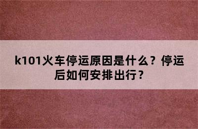 k101火车停运原因是什么？停运后如何安排出行？