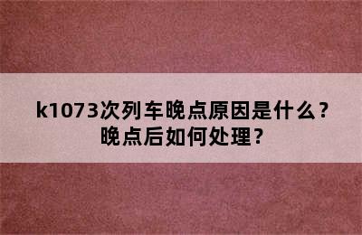 k1073次列车晚点原因是什么？晚点后如何处理？