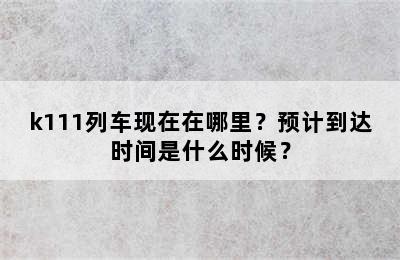 k111列车现在在哪里？预计到达时间是什么时候？