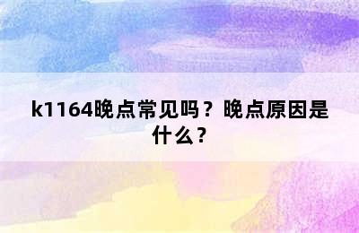 k1164晚点常见吗？晚点原因是什么？