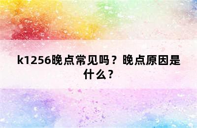 k1256晚点常见吗？晚点原因是什么？