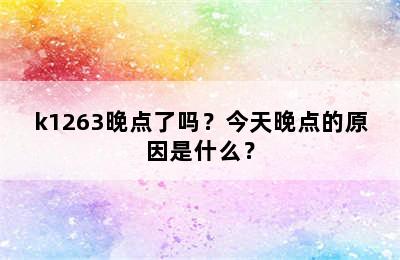 k1263晚点了吗？今天晚点的原因是什么？
