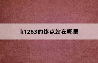 k1263的终点站在哪里