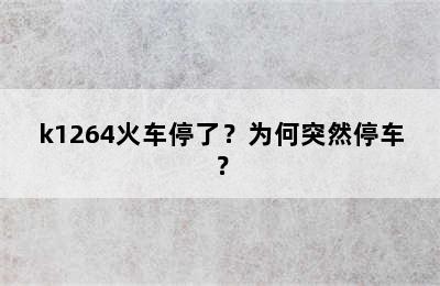 k1264火车停了？为何突然停车？