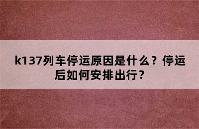 k137列车停运原因是什么？停运后如何安排出行？