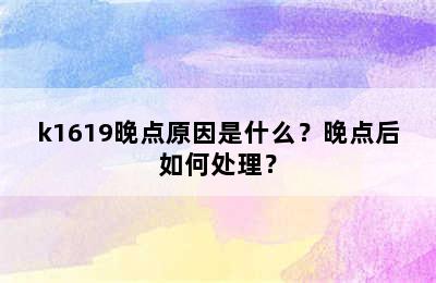 k1619晚点原因是什么？晚点后如何处理？
