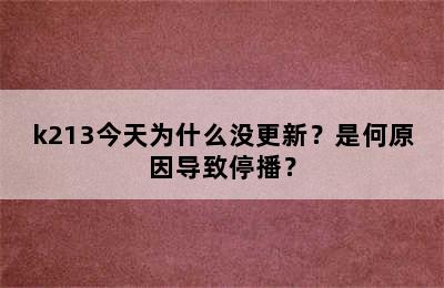 k213今天为什么没更新？是何原因导致停播？