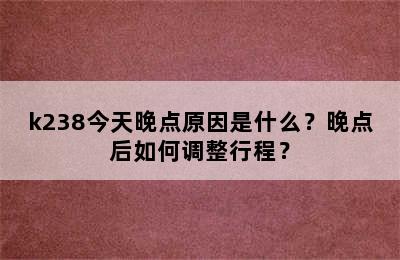 k238今天晚点原因是什么？晚点后如何调整行程？
