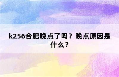 k256合肥晚点了吗？晚点原因是什么？