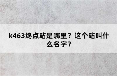 k463终点站是哪里？这个站叫什么名字？