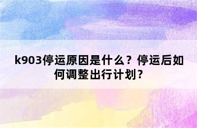 k903停运原因是什么？停运后如何调整出行计划？